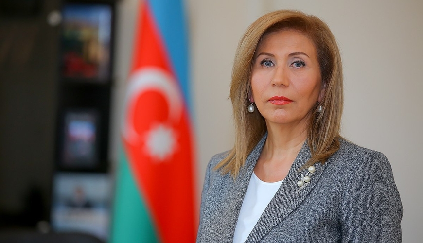 Bahar Muradovadan deputatların fikirlərinə reaksiya