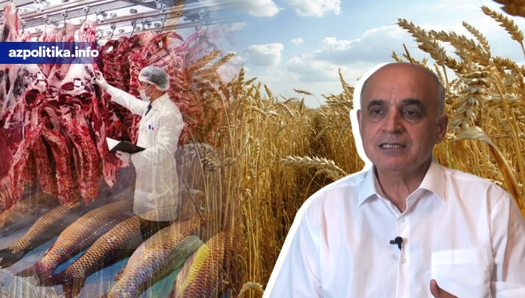 PREZİDENT “YERİNDƏ SAYIRIQ, İDXALI AZALTMALIYIQ” DEDİ... - Ekspert əsas problemləri AÇIQLADI