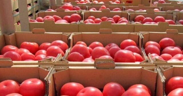 Rusiya Ermənistandan tərəvəz, pomidor idxalını da dayandırdı
