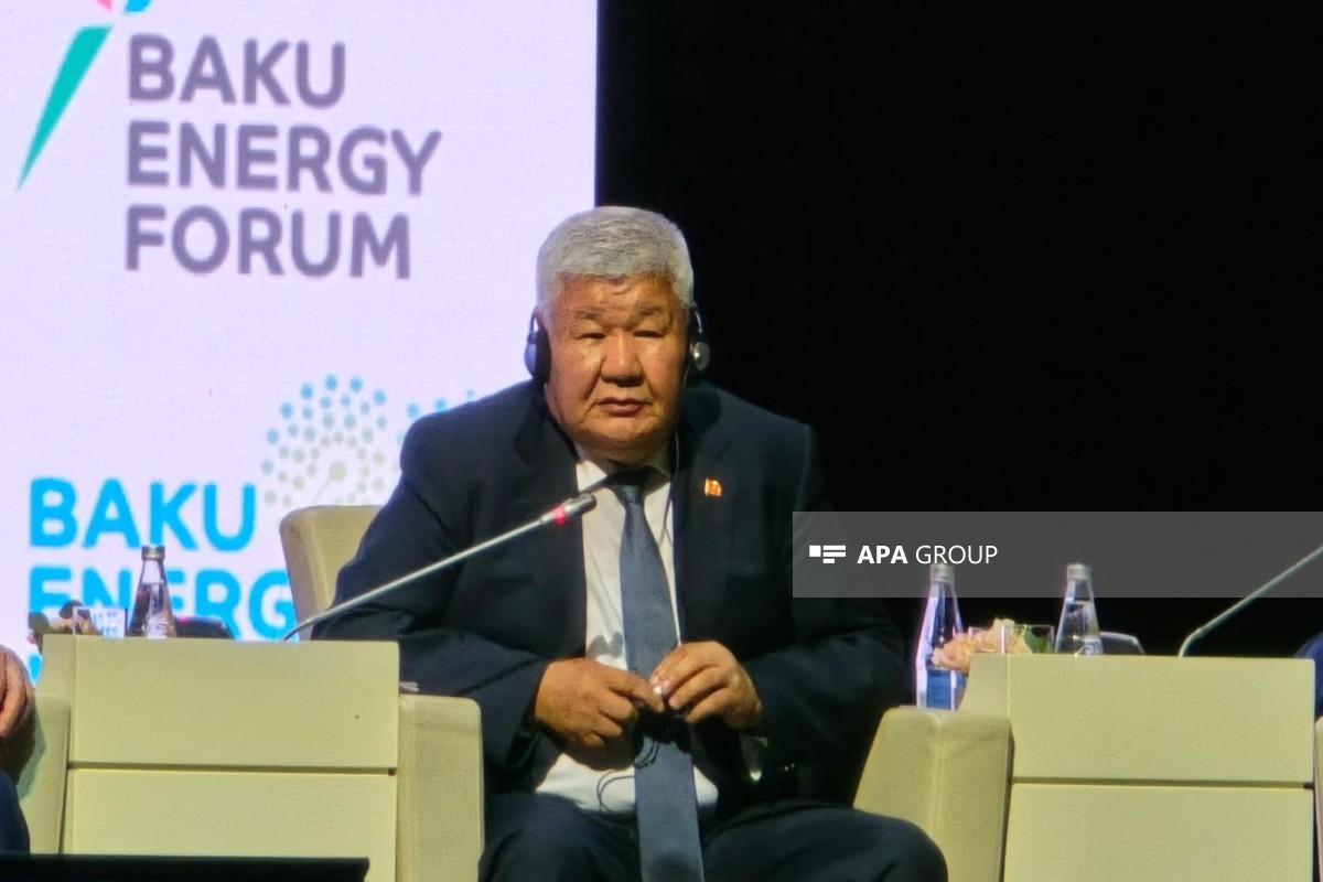 Energetika naziri: Qırğızıstan günəş və külək enerjisinə yatırımları artırır