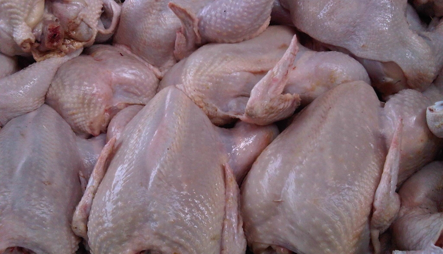 Dörd ildə toyuq əti istehsalını 30 faiz artırmaq mümkün olacaqmı?