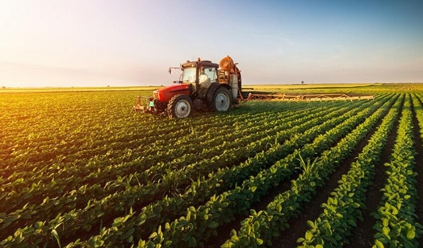Aqrar sektora milyardlarla DƏSTƏK: Fermerlər üçün yeni imkan yarandı