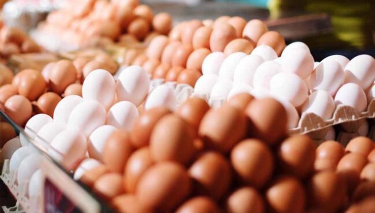 Azərbaycanda yumurta 1 qəpiyədək UCUZLAŞDI