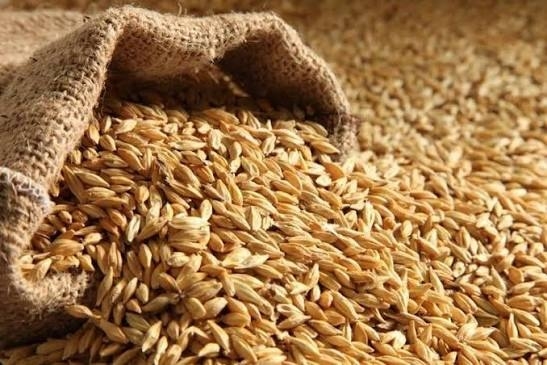 Hökumətin 400 manata buğda qərarı