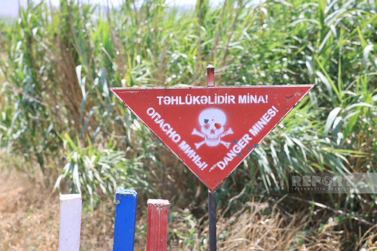 Ötən həftə 2300 hektardan çox ərazi minalardan təmizlənib
