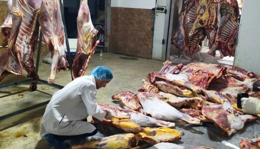 Masallıda 3 tondan çox istehlaka yararsız ət aşkarlandı