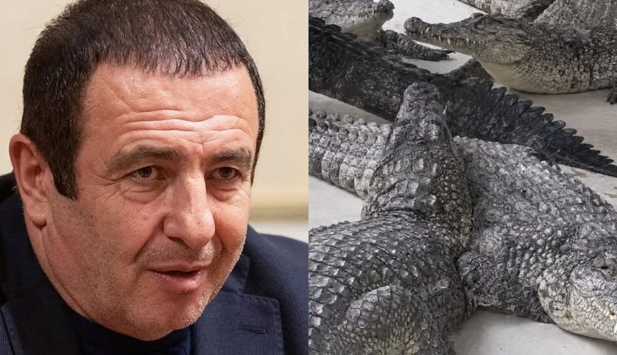Paşinyanın rəqibinin timsahı zabiti dişlədi  