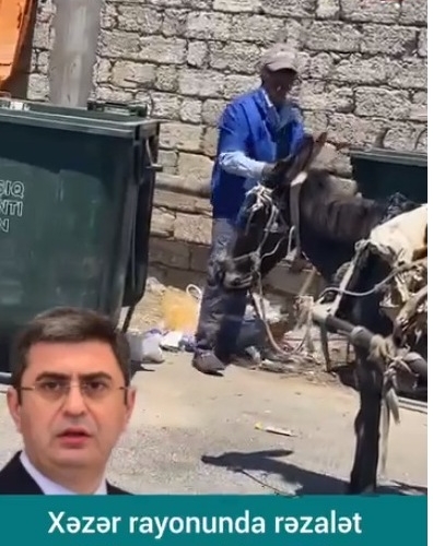 Bakının bu ərazisində zibili eşşək arabası ilə yığırlar