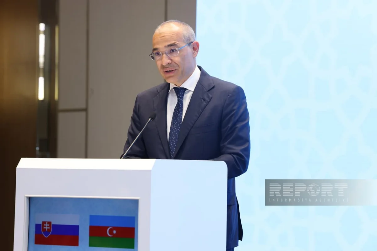 Azərbaycan-Slovakiya əməkdaşlığı üçün prioritet sahələr açıqlanıb