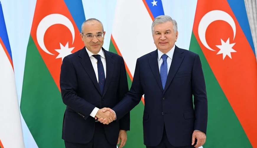 Mikayıl Cabbarov Özbəkistan Prezidenti ilə görüşdü