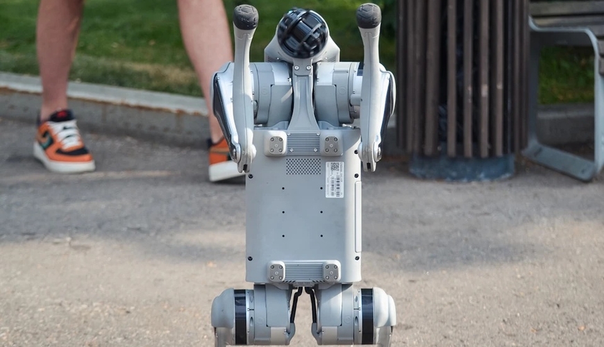 Polis küçələrə robot itlər BURAXDI - Cinayətkarlar belə YAXALANDI