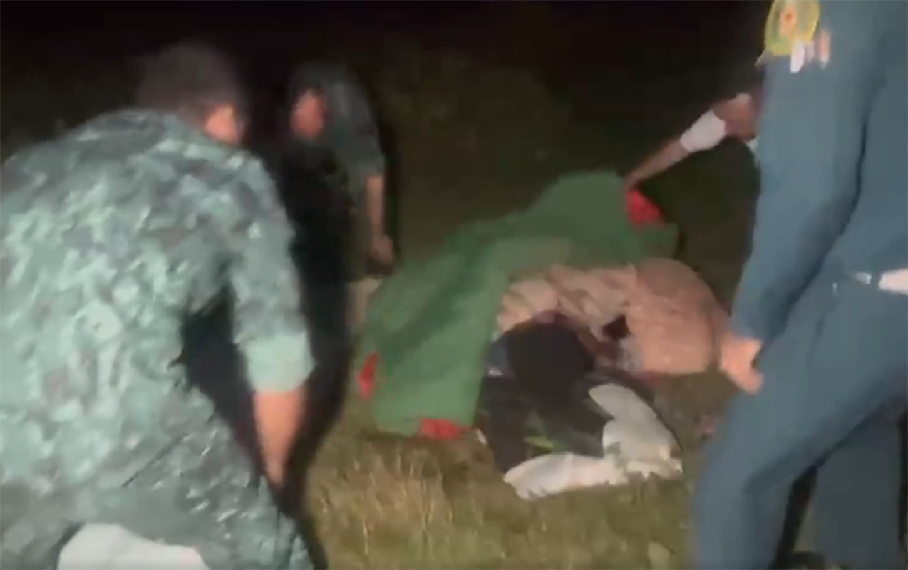 Niderlandlı qadına Şəkidə itlər hücum etdi - Belə xilas olundu+Video