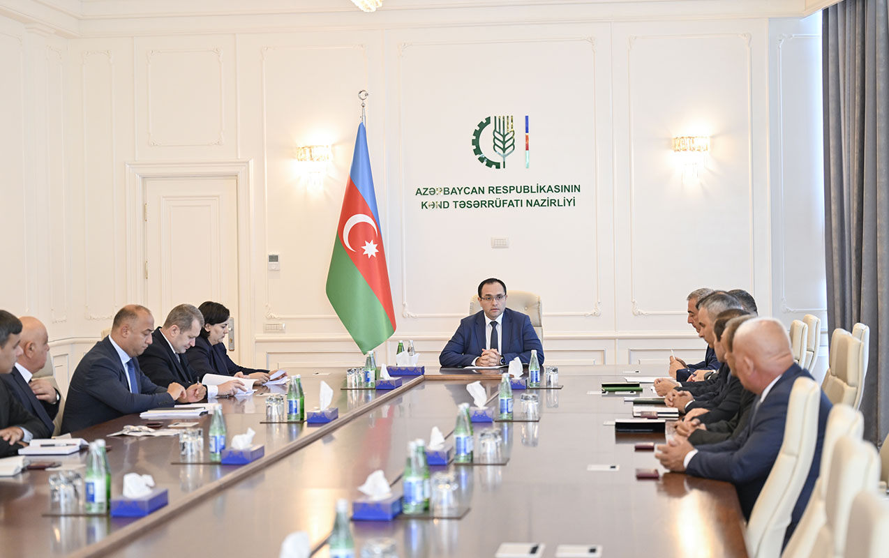 Nazir əməkdaşlarına “Dövlət qulluğunda fərqlənməyə görə” medal və vəsiqələri təqdim etdi - Fotolar