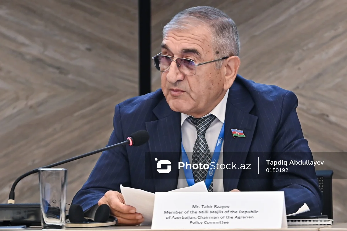 Tahir Rzayev: 