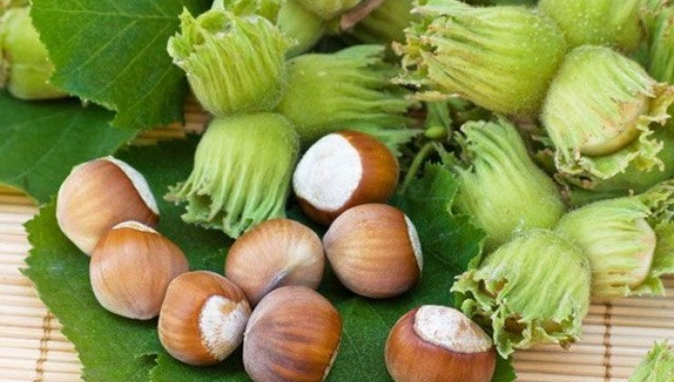 FINDIĞIN QİYMƏTİ 10 İLDİR NİYƏ ARTMIR? – İqtisadçı səbəbləri açıqladı