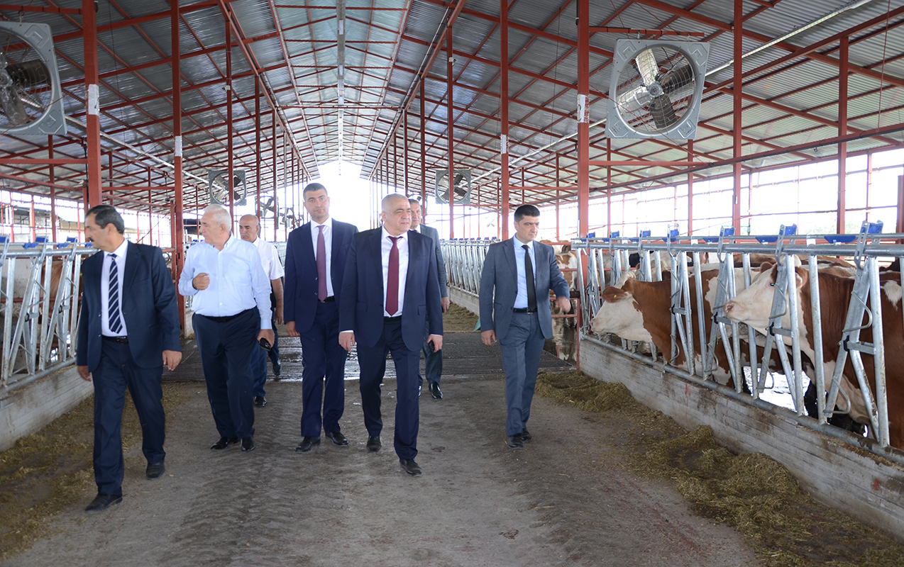 Kürdəmirdə aqroparklarda və iri fermer təsərrüfatlarında monitorinq - Fotolar